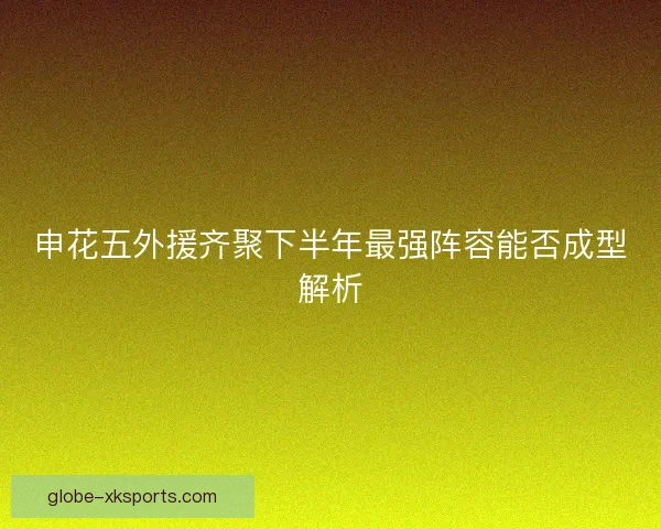 申花五外援齐聚下半年最强阵容能否成型解析