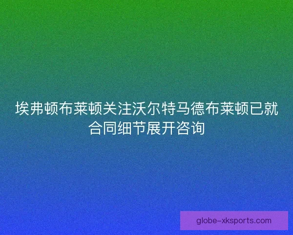 埃弗顿布莱顿关注沃尔特马德布莱顿已就合同细节展开咨询 埃弗顿布莱顿关注沃尔特马德布莱顿已就合同细节展开咨询